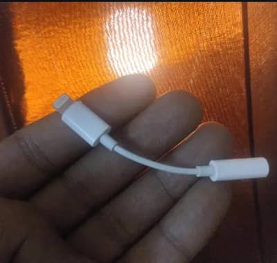 apple converter 100 % original