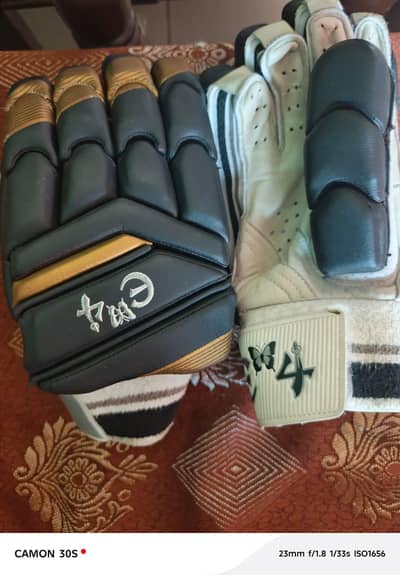 Den mitle holzer used gloves