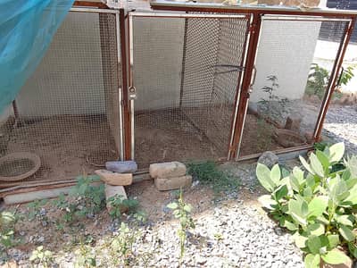 Animal/birds Cage