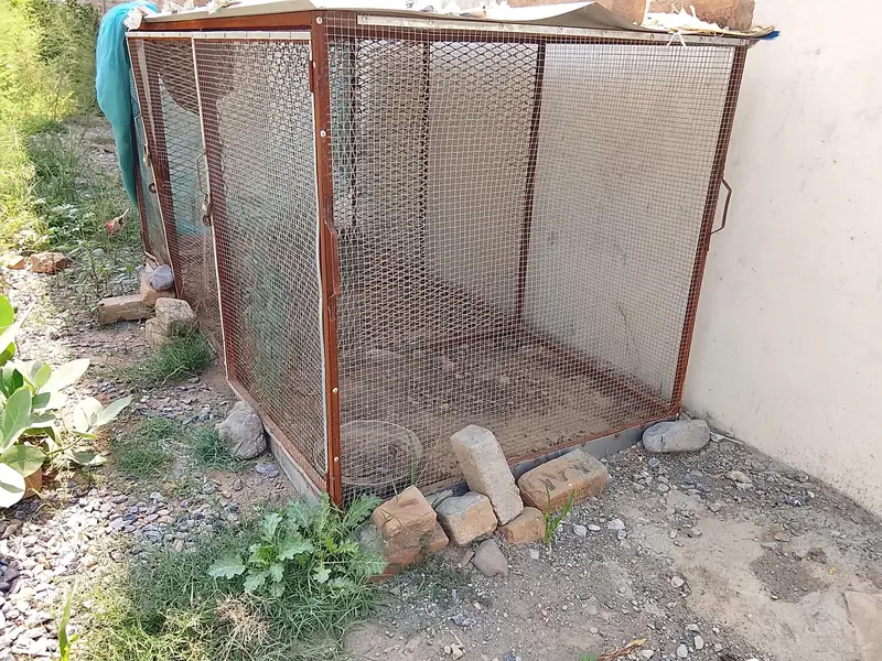 Animal/birds Cage — photo 3