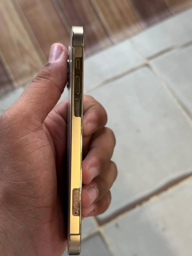 Apple iPhone 12 Pro 1