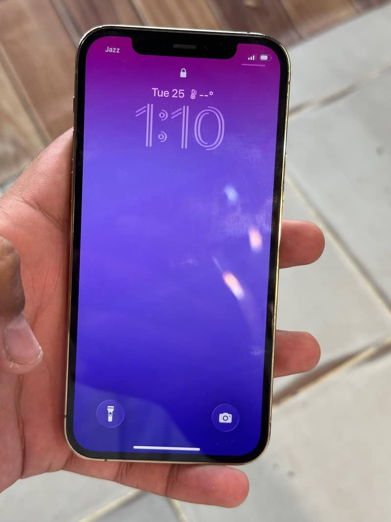 Apple iPhone 12 Pro 6