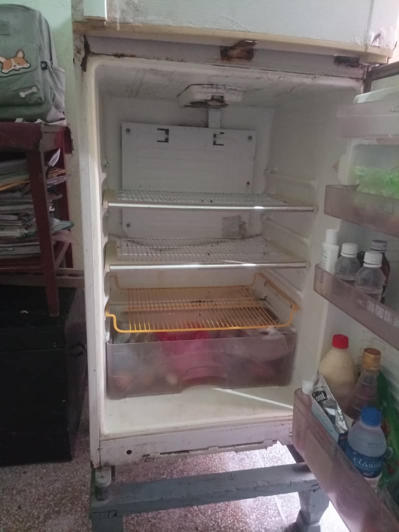 Freezer 3