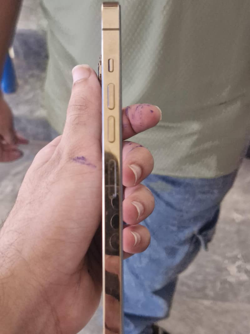 Apple iPhone 13 Pro Max 3