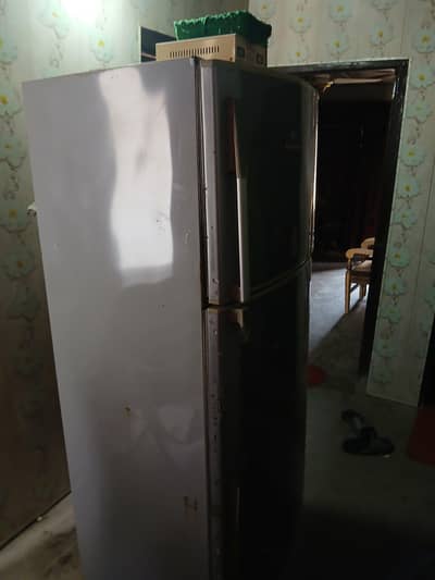 Downlance fridge full size