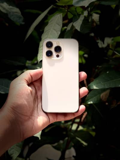 iphone 13 pro (93%)