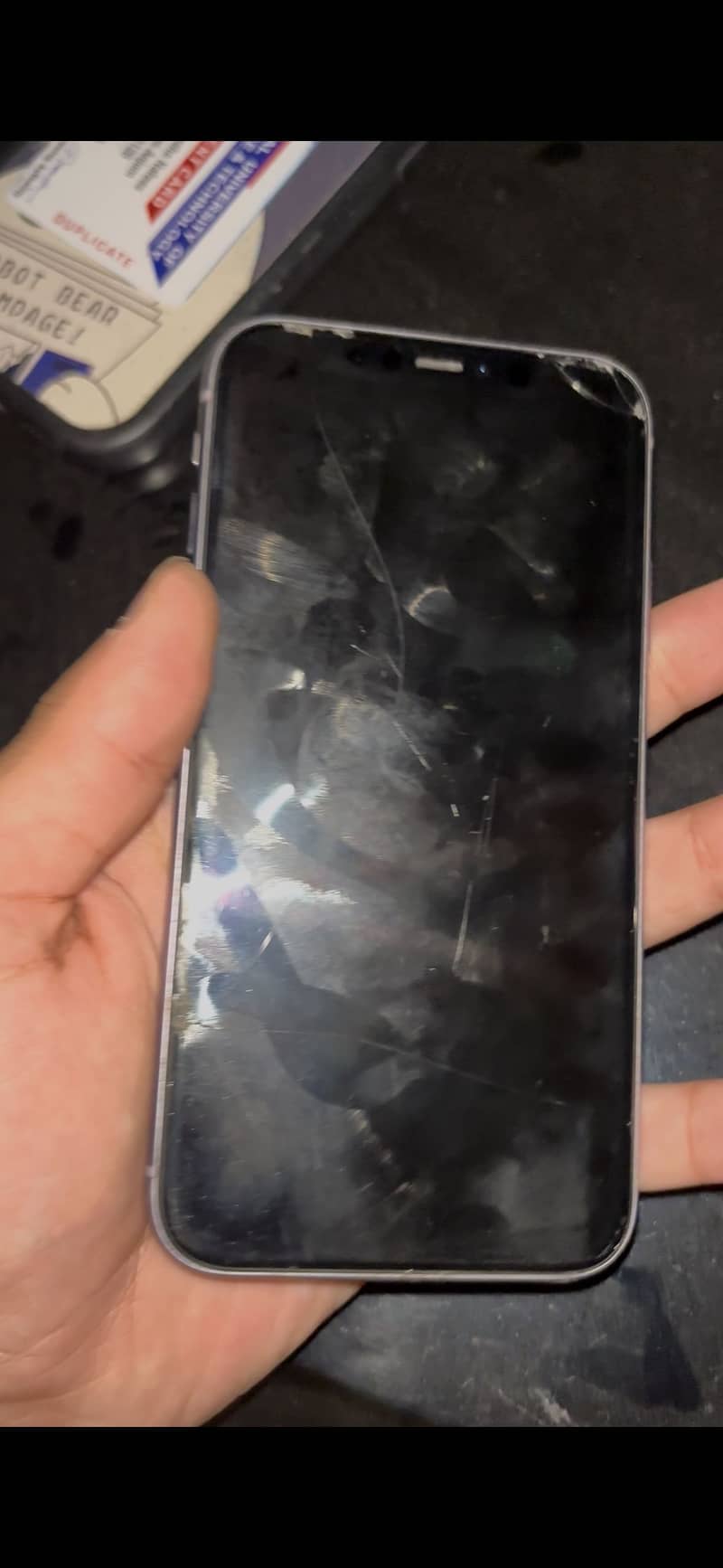 Apple iPhone 11 4