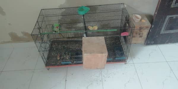 Salling my breeding setup