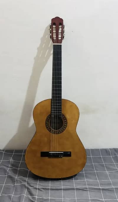 Professional Guitar Available