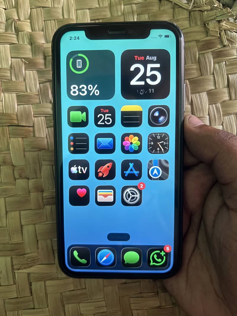 Apple iPhone 11 1