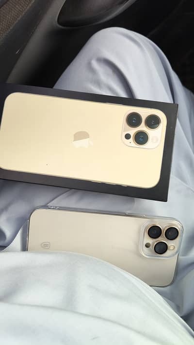 Apple iPhone 13 Pro Max