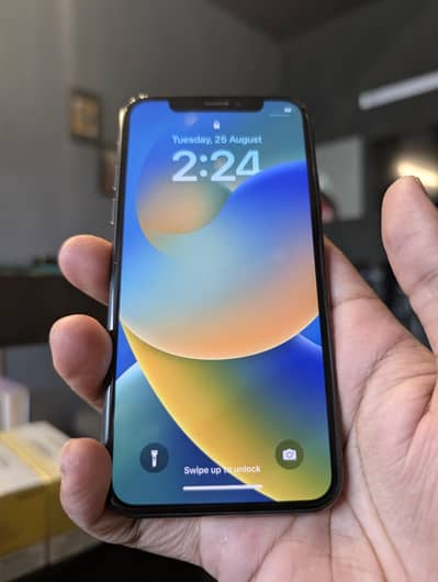 Apple iPhone X