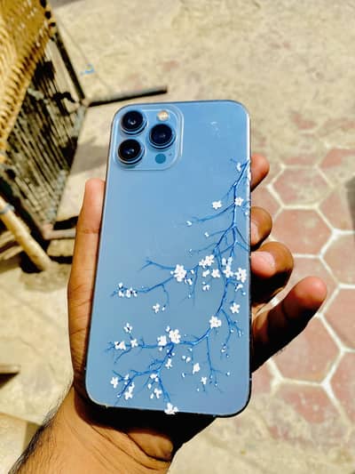 Apple iPhone 13 Pro Max