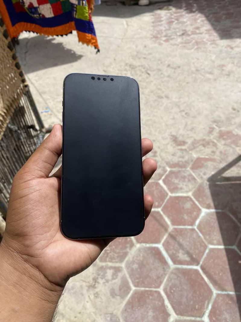 Apple iPhone 13 Pro Max 2