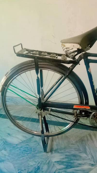 Shaheen bicycle