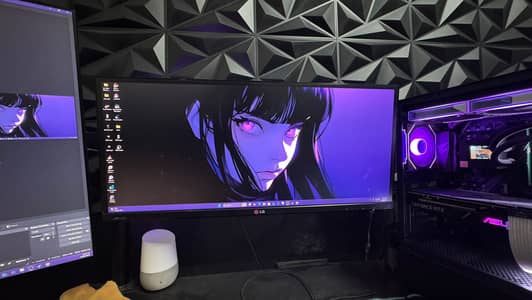 LG 29 inch Premium IPS Monitor