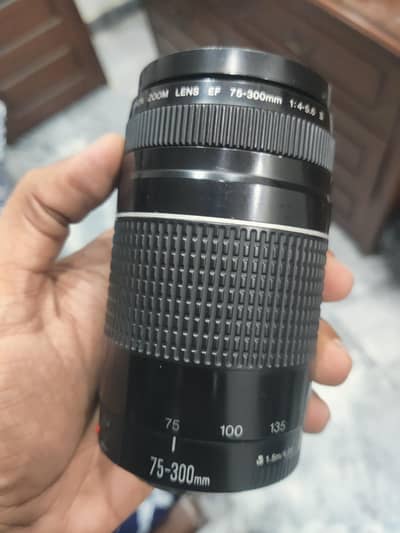 canon 70-300mm lens for canon all dslr cameras