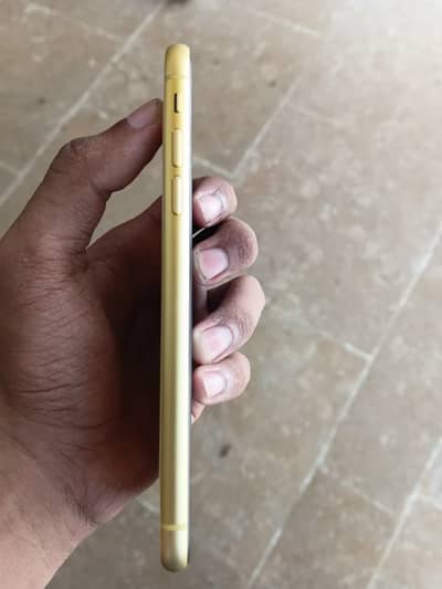 I phone 11