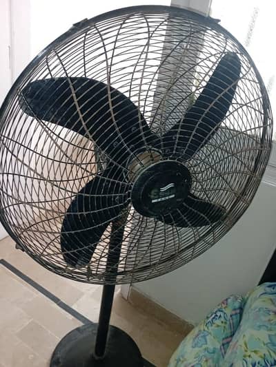 essa fan