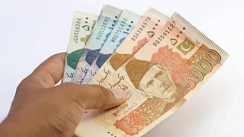 مجھے ان لائن کام کے لیے ورکرز کی ضرورت ہے 1
