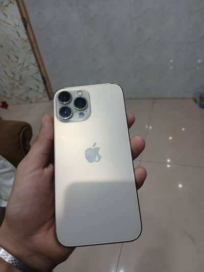 Apple iPhone 13 Pro Max