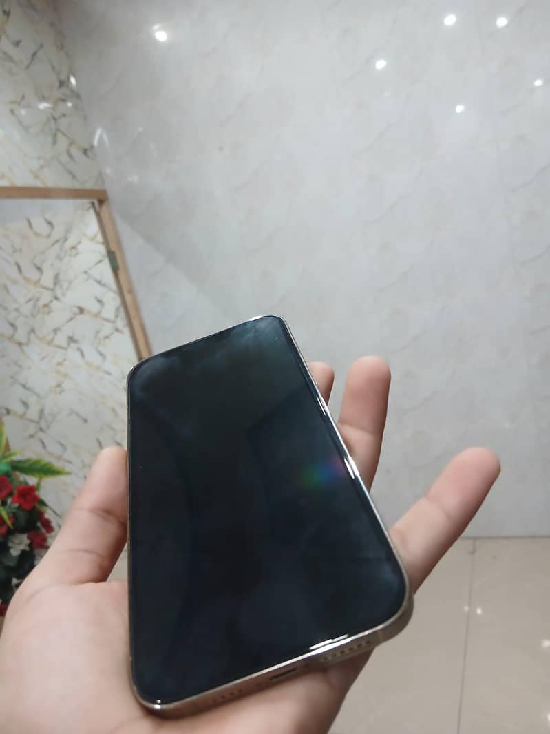 Apple iPhone 13 Pro Max 1