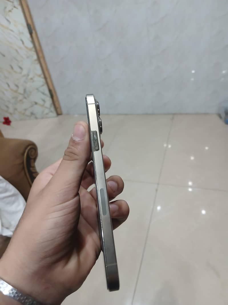 Apple iPhone 13 Pro Max 3