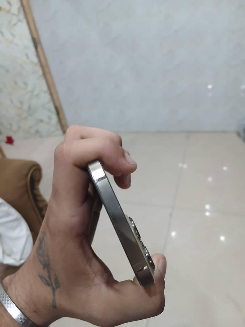 Apple iPhone 13 Pro Max 4