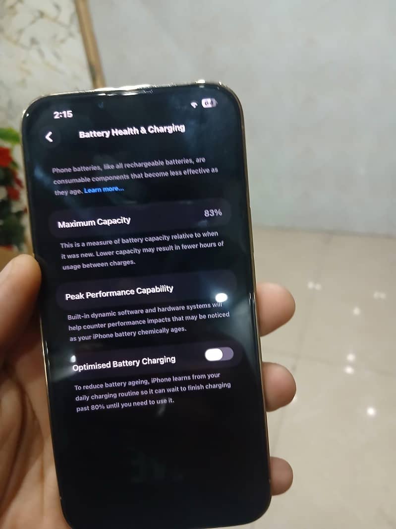 Apple iPhone 13 Pro Max 6