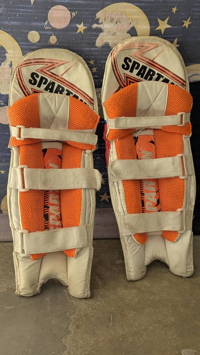 cricket kit 0