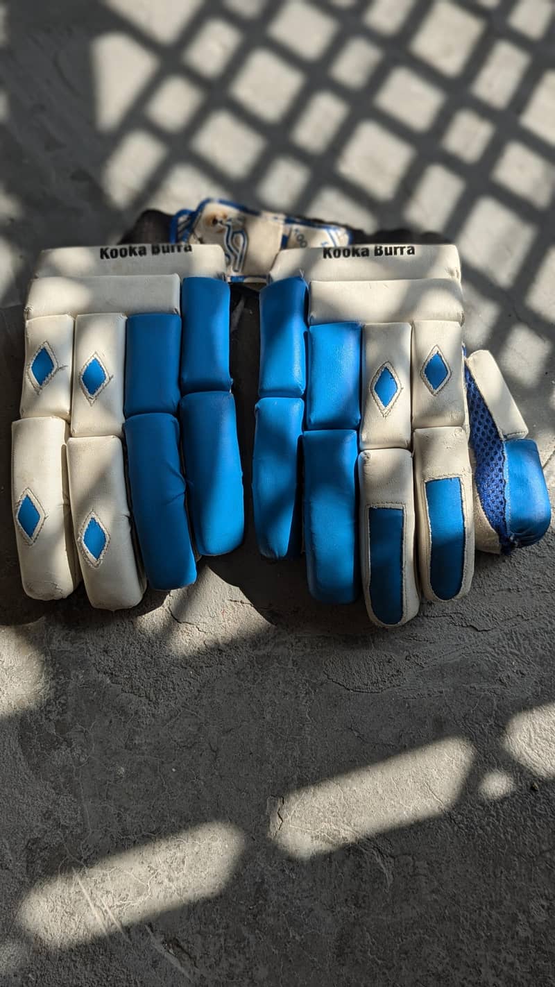 cricket kit 6