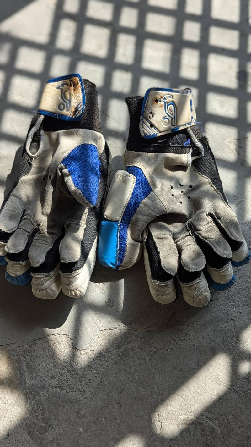 cricket kit 7