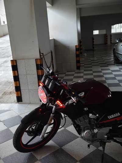 Yamaha YBR 125 Modified Urgent For Sale | Yamaha In Bikes | Geniune