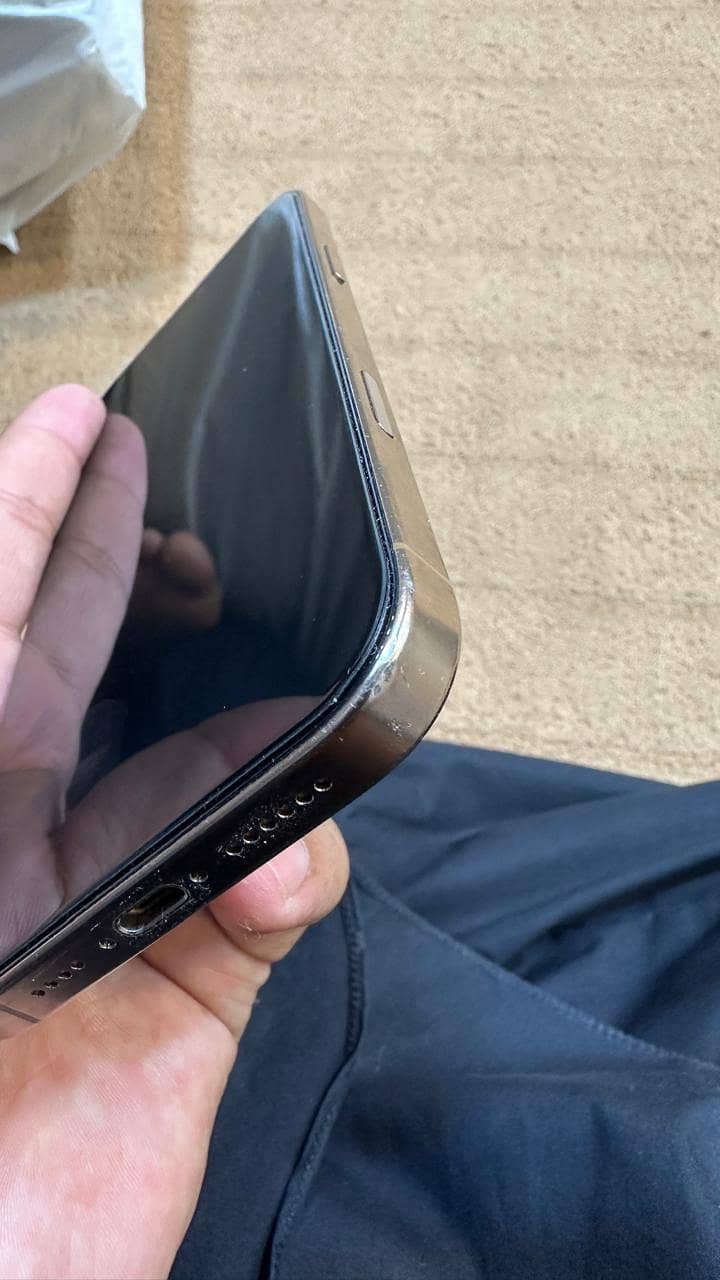 Apple iPhone 16 Pro Max 1