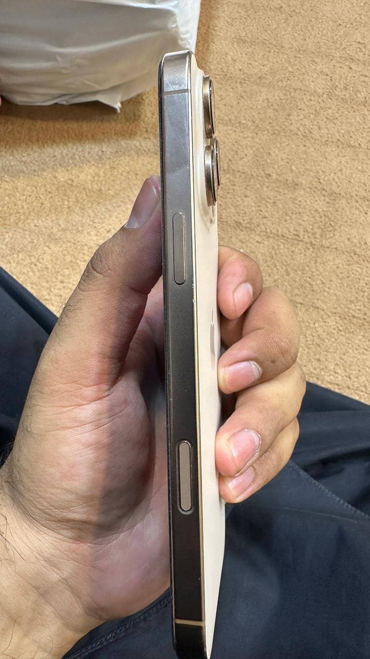 Apple iPhone 16 Pro Max 2