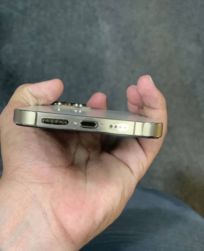 Apple iPhone 13 Pro Max 1