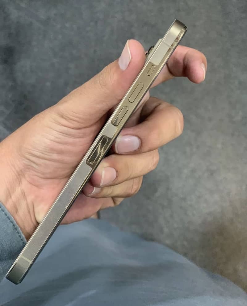 Apple iPhone 13 Pro Max 2