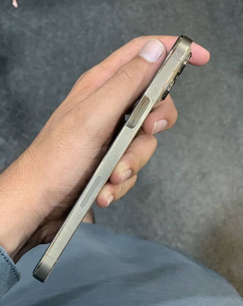 Apple iPhone 13 Pro Max 3