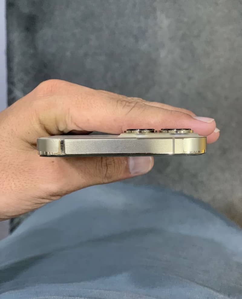 Apple iPhone 13 Pro Max 4