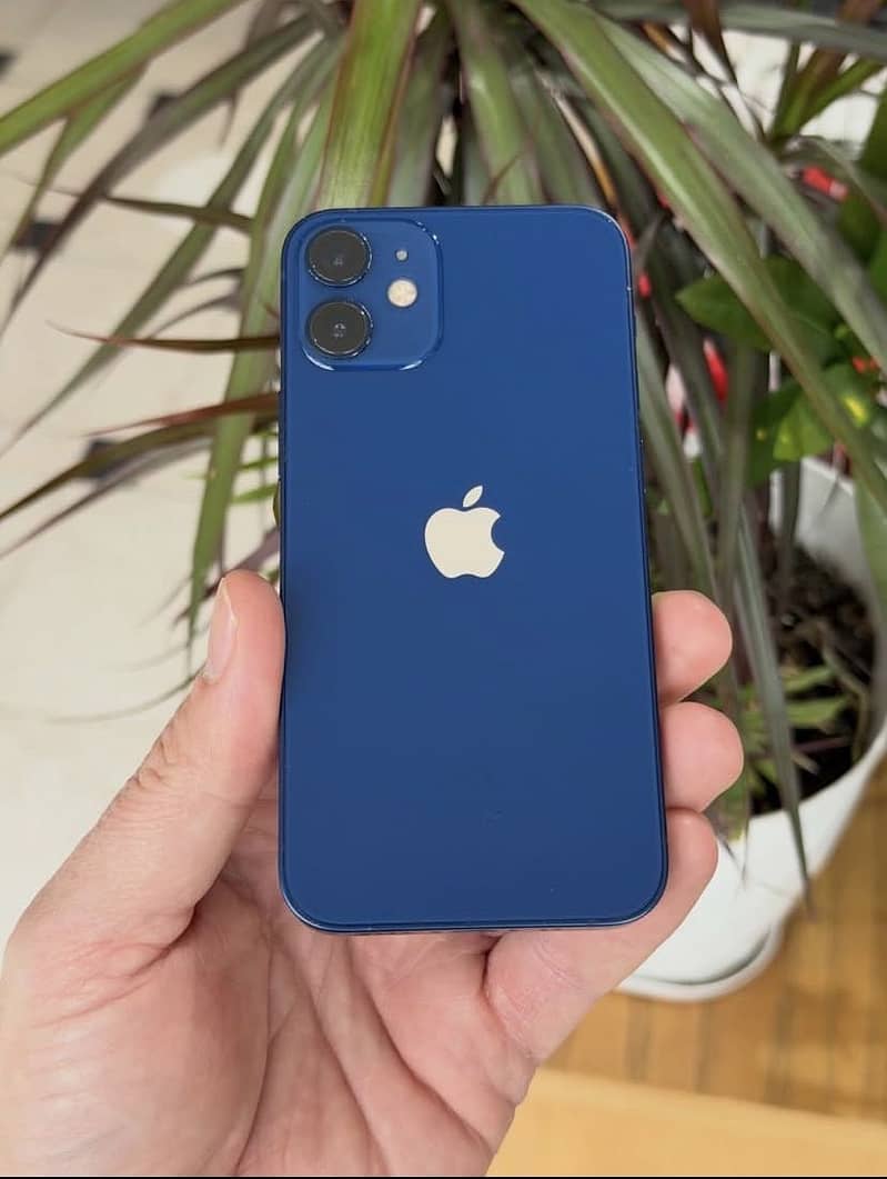 Apple iPhone 12 mini 1