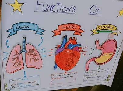 online tutoring , project and chart making for schools