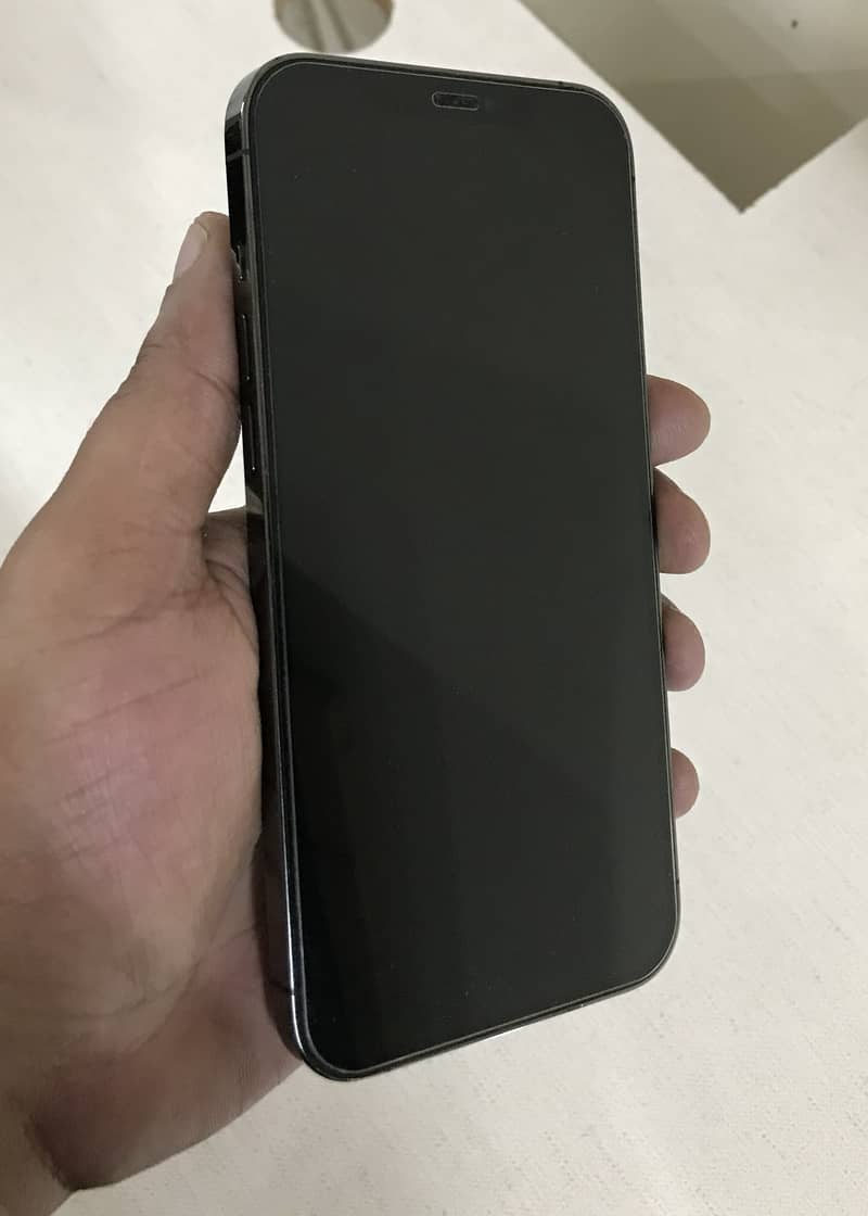 Apple iPhone 12 Pro Max 1