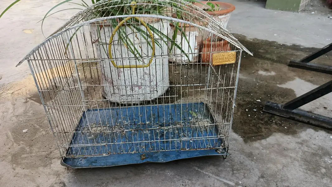 cage for parrots — photo 4