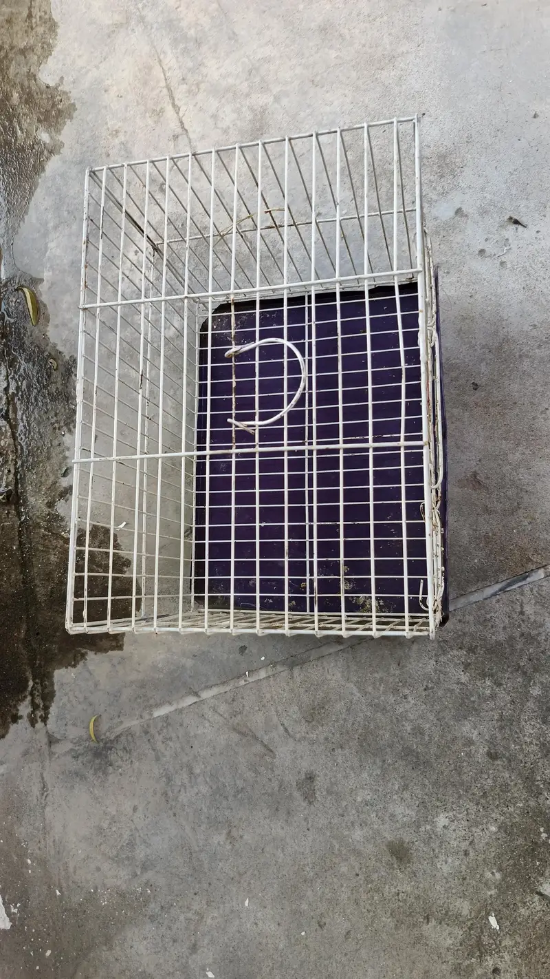 cage for parrots — photo 5