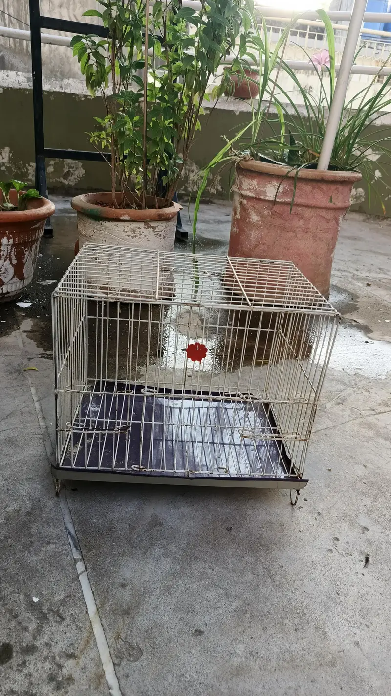 cage for parrots — photo 6
