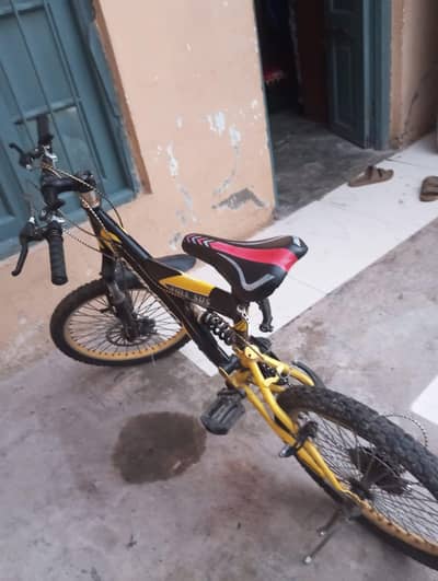20 inch Cycle
