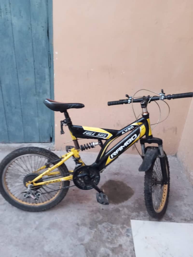 20 inch Cycle 1