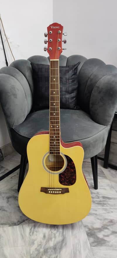 Guitar