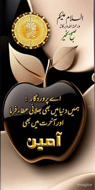 al Khair associates employment office provid cook driver kitchen