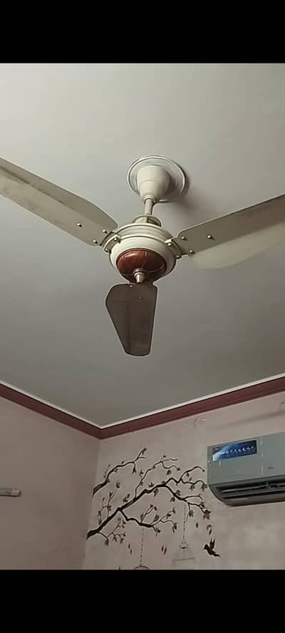 Lahore fan
